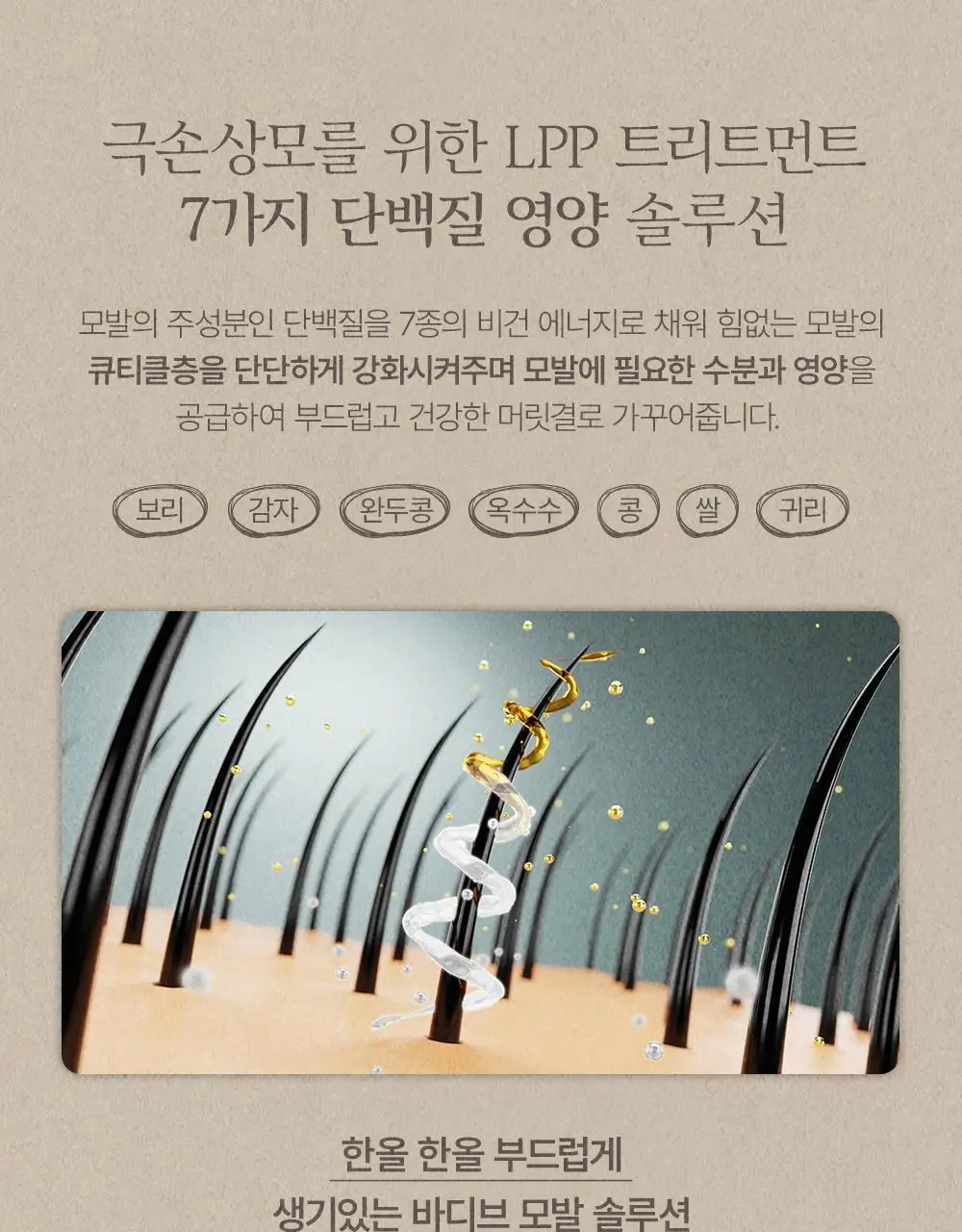 [대용량] 바디브 비건 단백질 LPP 트리트먼트 1000ml 4종 택1 상세페이지 8